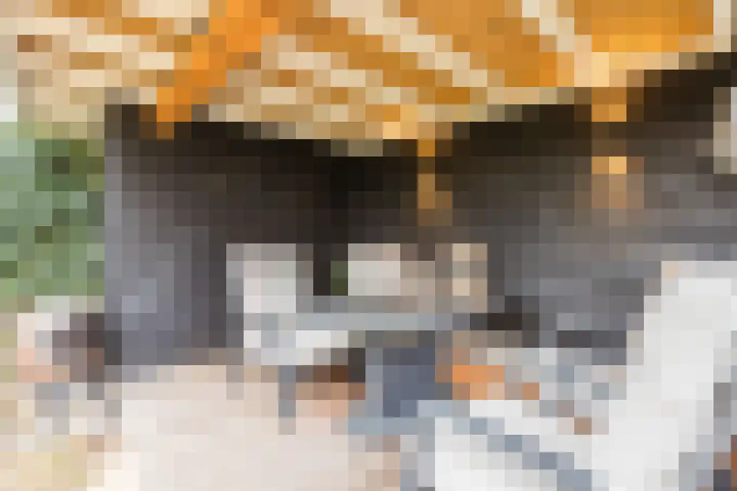 Esrand 2 Deurningen thumbnail 70
