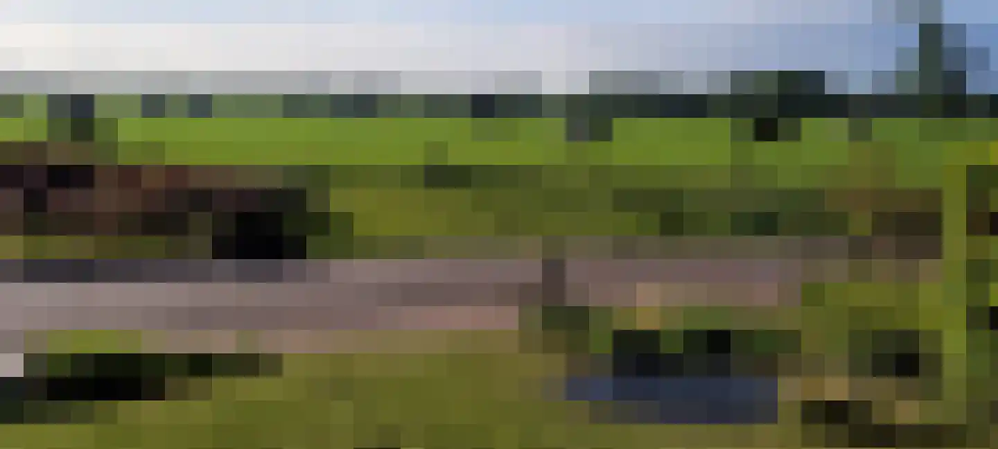 Esrand 2 Deurningen thumbnail 77