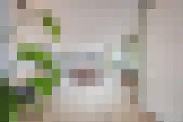Esrand 22 Nuenen thumbnail 10