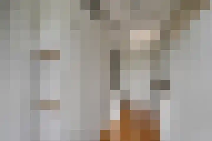 Esrand 24 Vriezenveen thumbnail 11