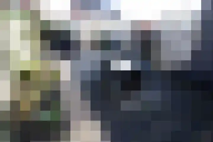 Esrand 24 Vriezenveen thumbnail 20
