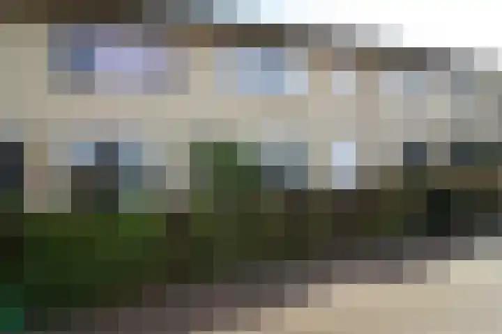 Esrand 24 Vriezenveen thumbnail 25