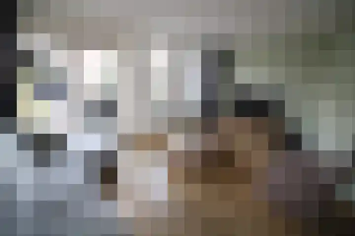 Esrand 24 Vriezenveen thumbnail 4