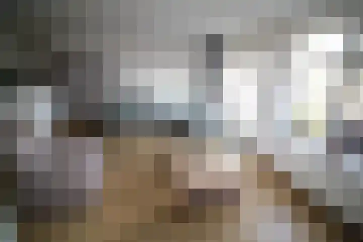 Esrand 24 Vriezenveen thumbnail 5