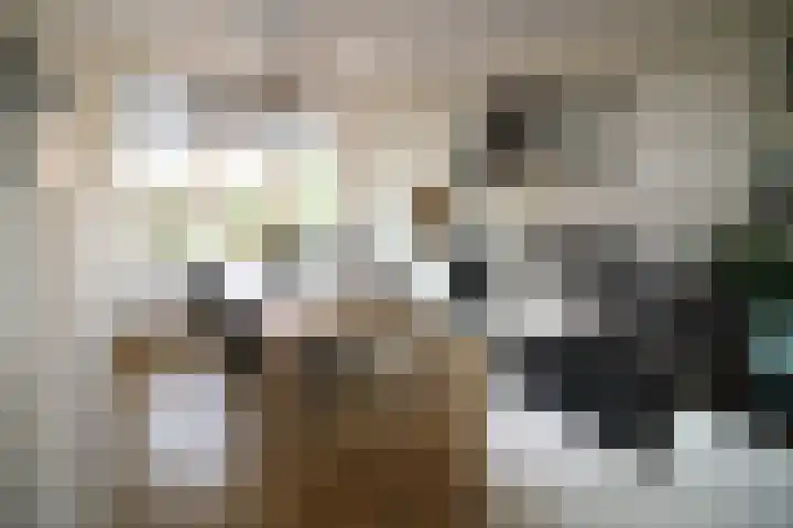 Esrand 24 Vriezenveen thumbnail 7