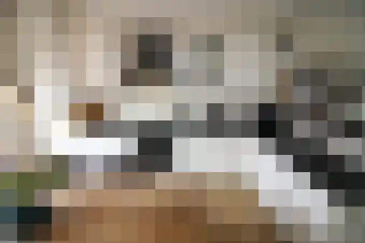 Esrand 24 Vriezenveen thumbnail 8