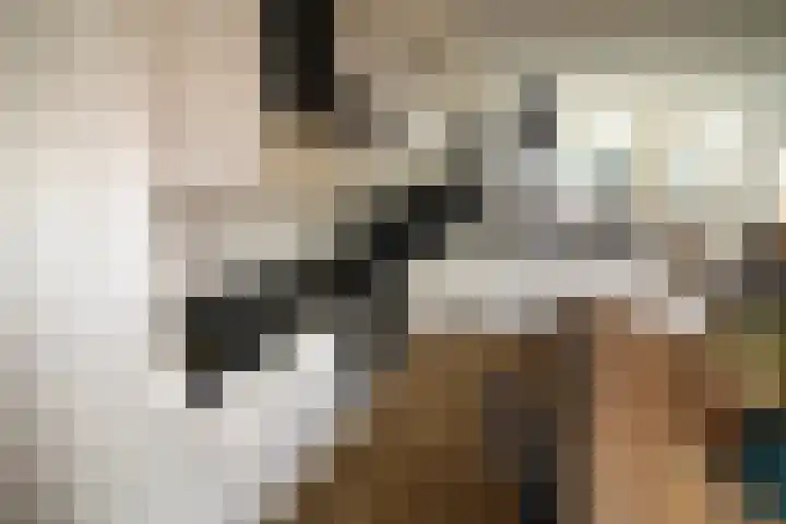 Esrand 24 Vriezenveen thumbnail 9