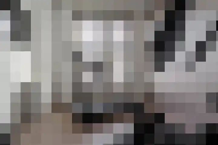 Esrand 44 Vriezenveen thumbnail 26