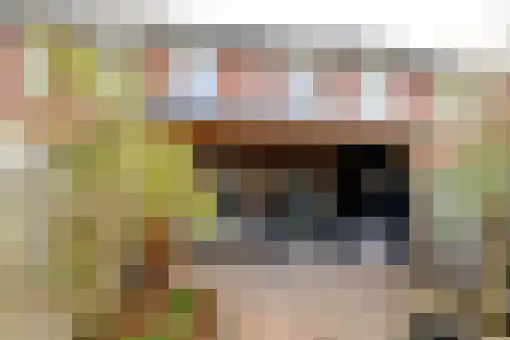 Esrand 44 Vriezenveen thumbnail 38