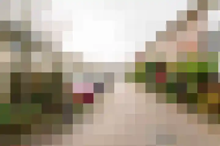 Esrand 44 Vriezenveen thumbnail 41