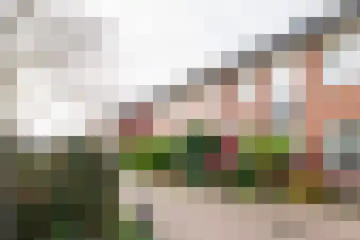 Esrand 44 Vriezenveen thumbnail 42