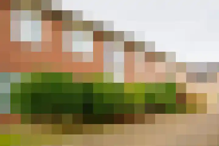 Esrand 44 Vriezenveen thumbnail 6