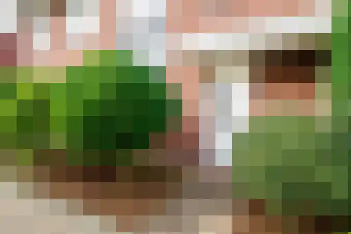 Esrand 44 Vriezenveen thumbnail 7