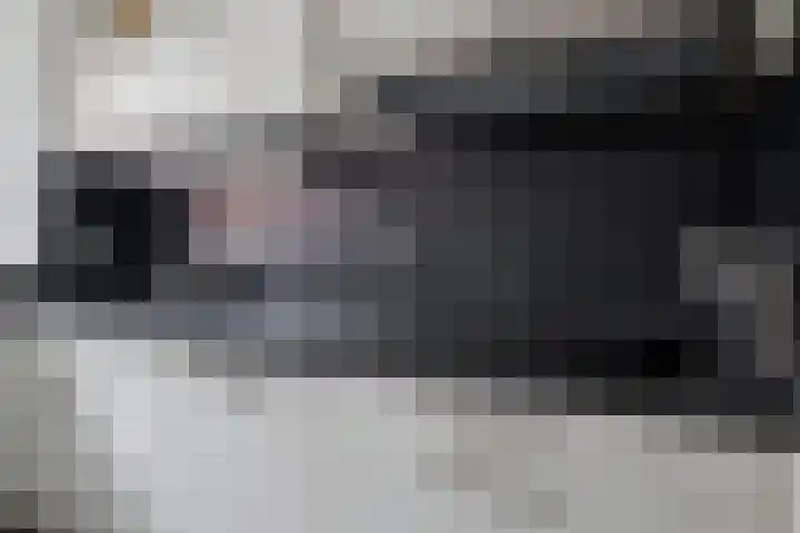 Esrand 48 Vriezenveen thumbnail 14