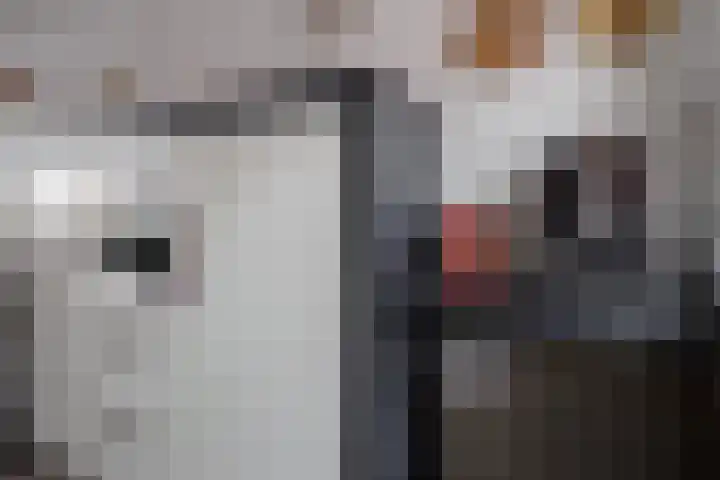 Esrand 48 Vriezenveen thumbnail 15
