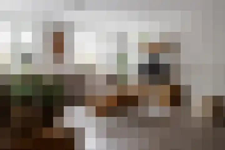 Esrand 48 Vriezenveen thumbnail 18
