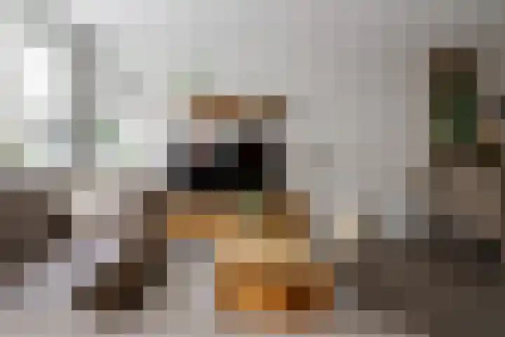 Esrand 48 Vriezenveen thumbnail 20