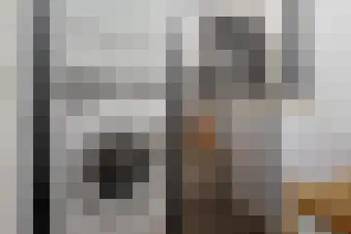 Esrand 48 Vriezenveen thumbnail 24