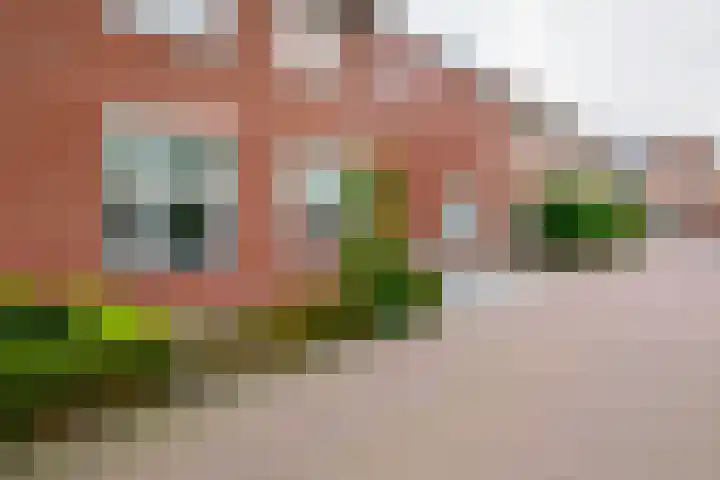 Esrand 48 Vriezenveen thumbnail 8