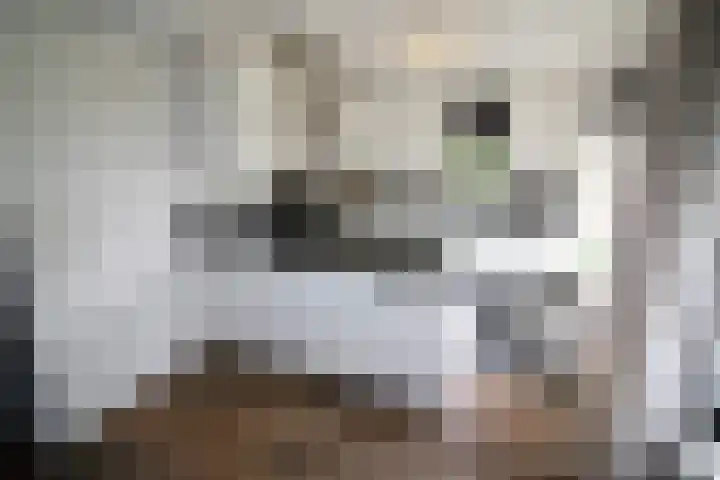 Esrand 5 Vriezenveen thumbnail 13