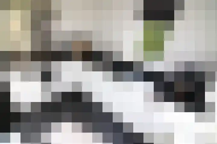 Esrand 5 Vriezenveen thumbnail 14