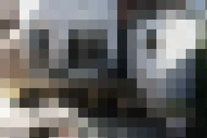 Esrand 5 Vriezenveen thumbnail 52