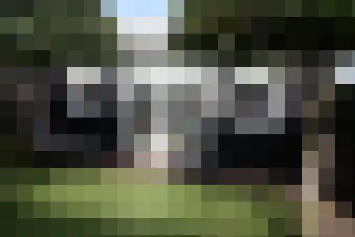 Esrand 5 Vriezenveen thumbnail 52
