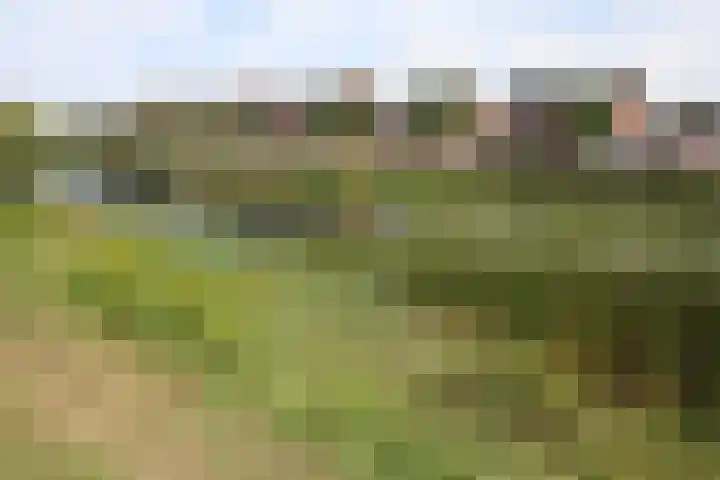 Esrand 5 Vriezenveen thumbnail 61