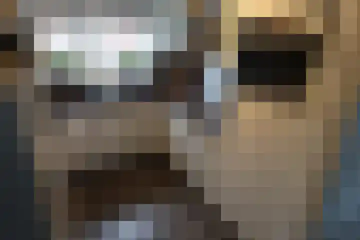 Esrand 64 Vriezenveen thumbnail 11