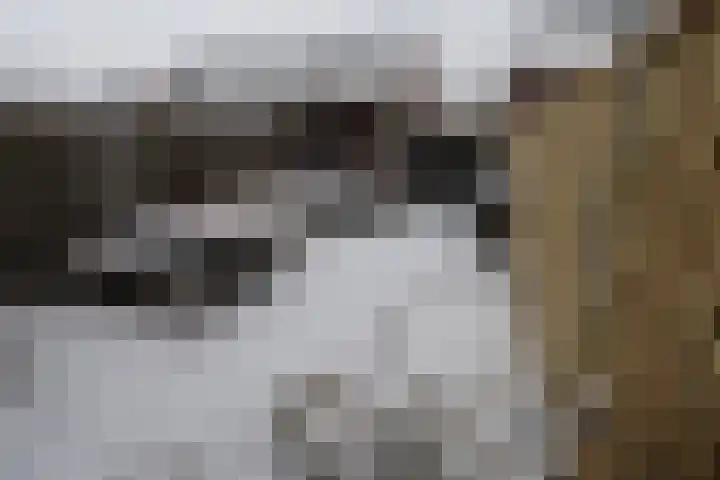 Esrand 64 Vriezenveen thumbnail 27