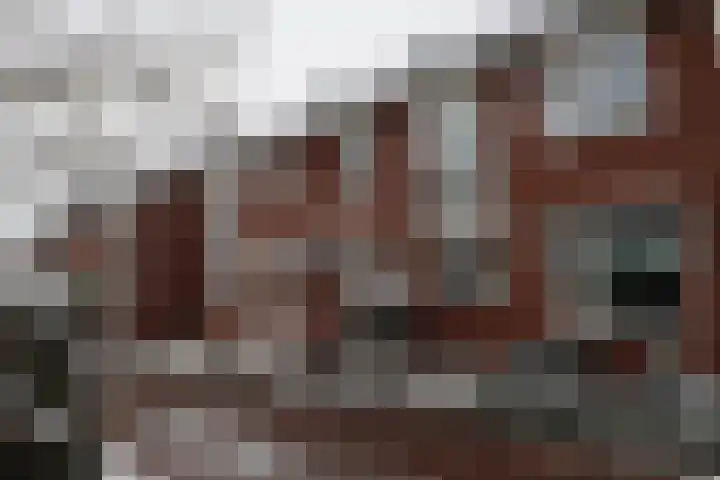 Esrand 64 Vriezenveen thumbnail 32
