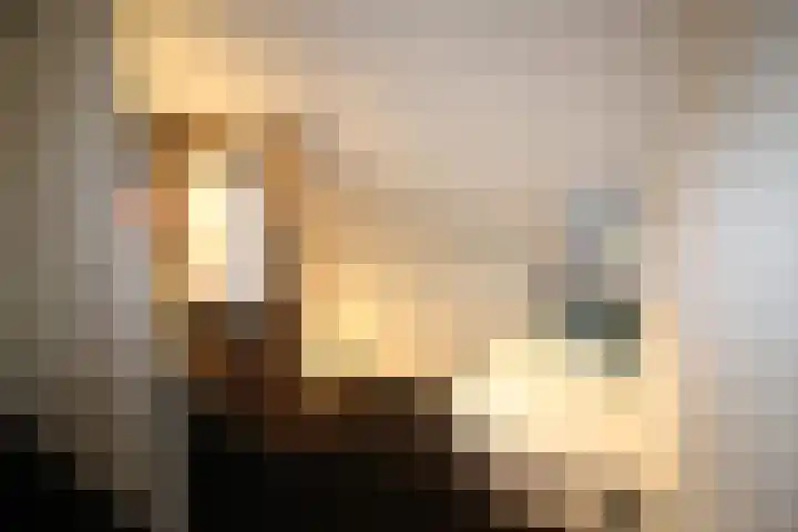 Esrand 66 Vriezenveen thumbnail 18