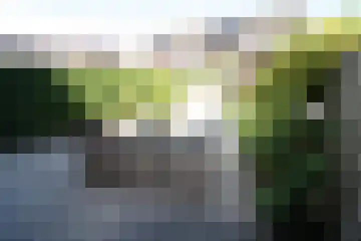 Esrand 66 Vriezenveen thumbnail 21