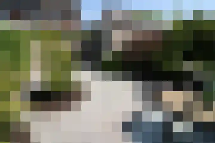 Esrand 66 Vriezenveen thumbnail 22