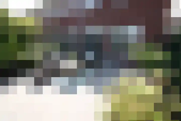 Esrand 66 Vriezenveen thumbnail 24