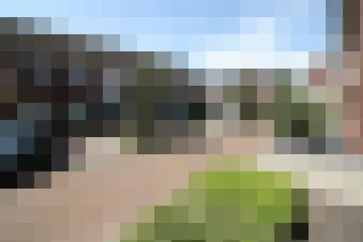 Esrand 66 Vriezenveen thumbnail 29