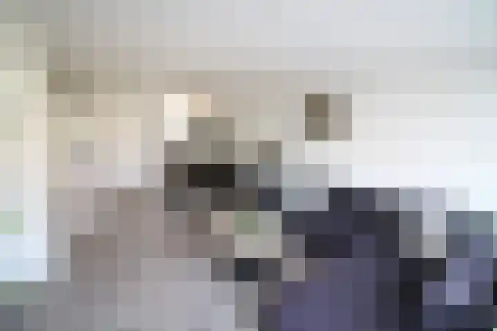 Esrand 66 Vriezenveen thumbnail 4