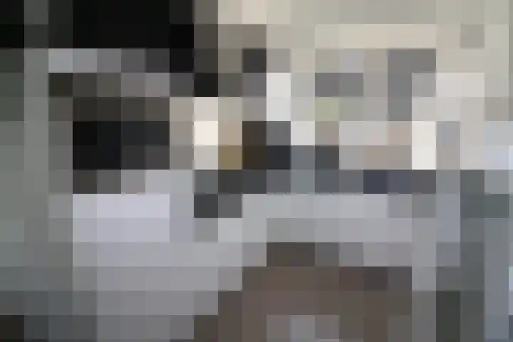 Esrand 66 Vriezenveen thumbnail 7