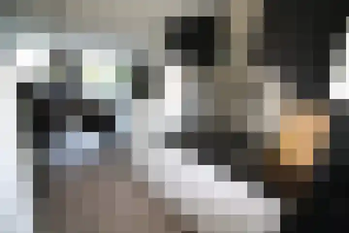 Esrand 66 Vriezenveen thumbnail 8