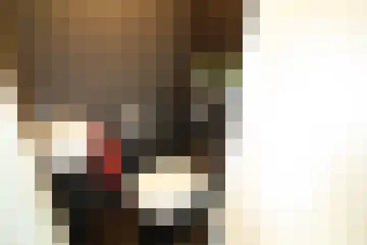 Esrand 66 Vriezenveen thumbnail 9