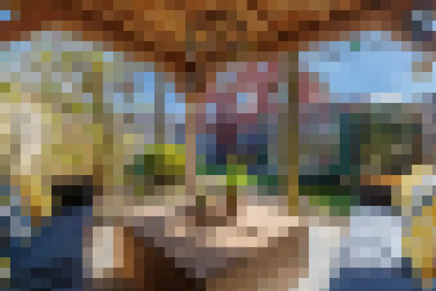 Esrand 84 Vriezenveen thumbnail 26