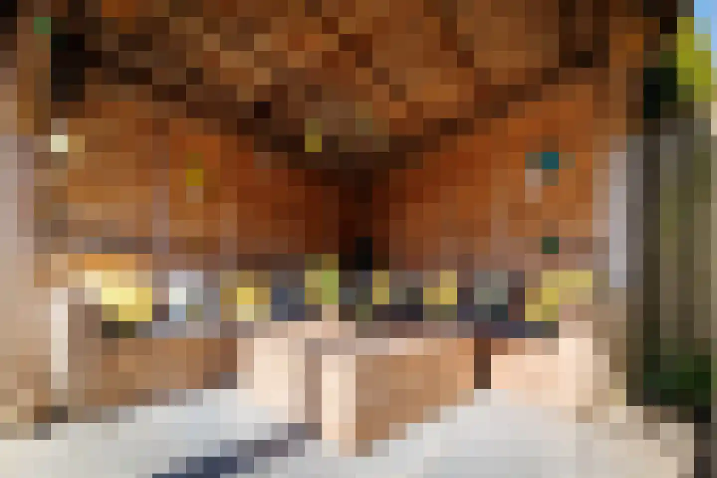 Esrand 84 Vriezenveen thumbnail 27