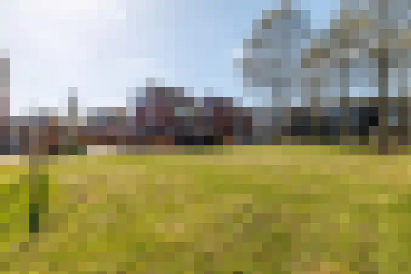 Esrand 84 Vriezenveen thumbnail 33