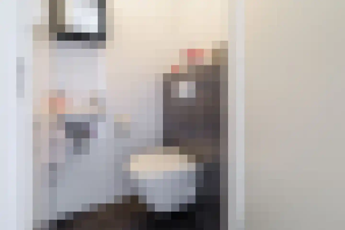 Esrand 84 Vriezenveen thumbnail 5