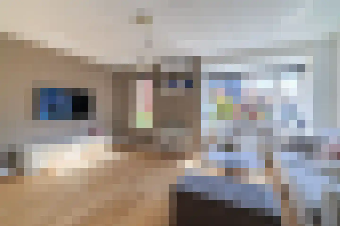 Esrand 84 Vriezenveen thumbnail 7
