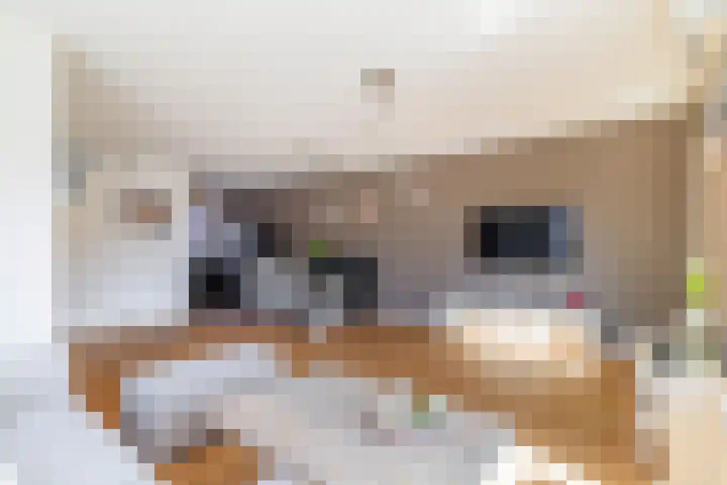 Esrand 84 Vriezenveen thumbnail 9