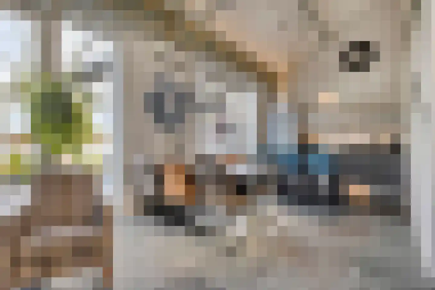 Esrein 10 G Hengelo thumbnail 20