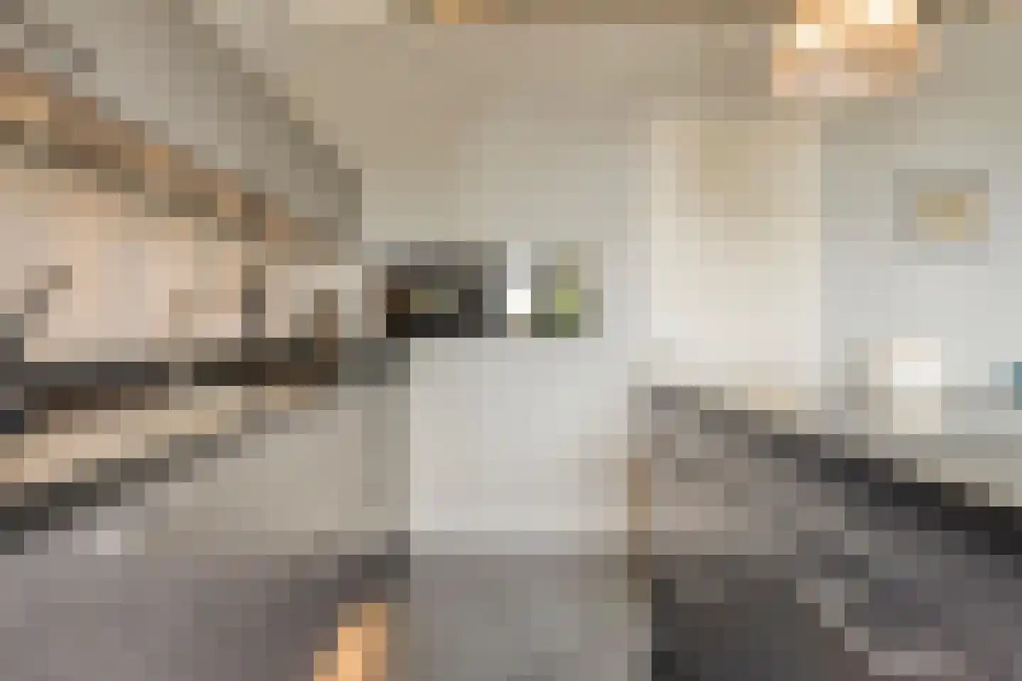 Esrein 10 G Hengelo thumbnail 25