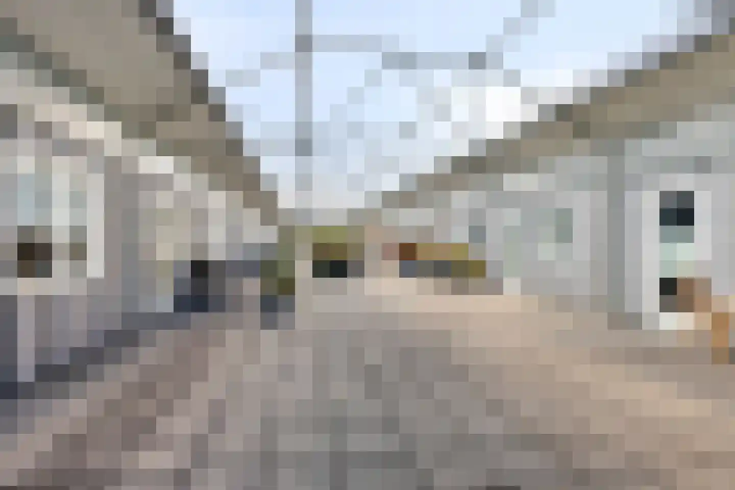 Esrein 10 G Hengelo thumbnail 9