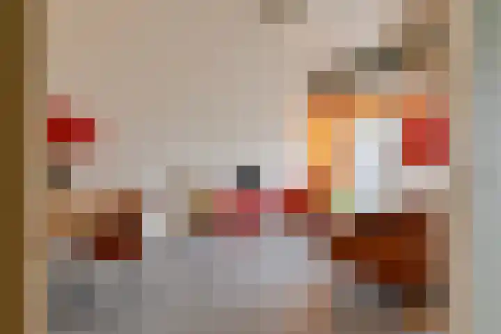 Esrein 10 H Hengelo thumbnail 12